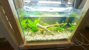 Стойка из бруса под аквариумы готова.