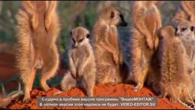 как обычно после пати смотреть онлайн