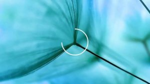 Реклама электромобилей Мерседес-EQ.