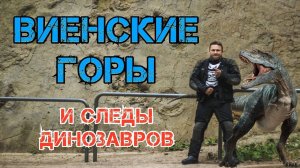 Поездка по Виенским Горам на турэндуро. Посмотреть на следы динозавров