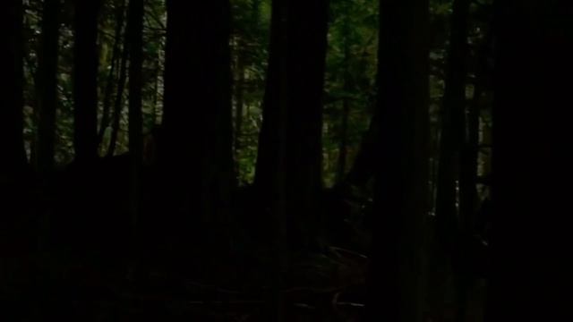 бесстыжая - ночной город (SNIPPET)