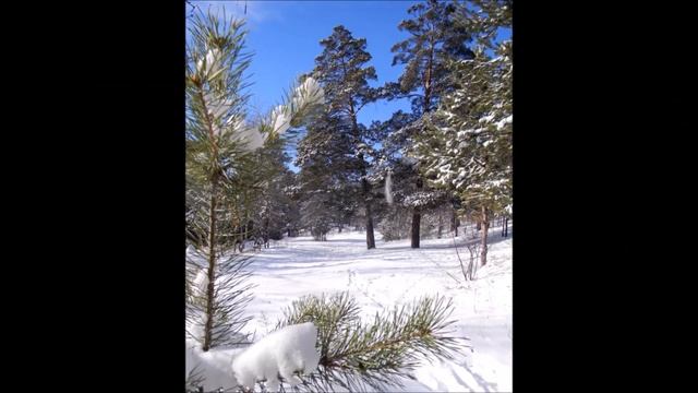 " Зимний лес " смотреть онлайн