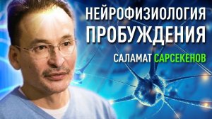 Нейрофизиология пробуждения. Саламат Сарсекенов