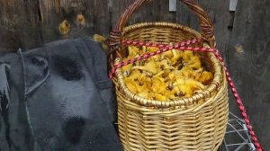 Джеймс Ласт. Наденька.В лес за ягодами..avi