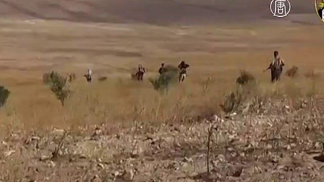 Курды опасаются эскалации конфликта с Турцией смотреть онлайн