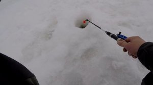 ОТЛИЧНЫЙ БЁРШ НА ТЮЛЬКУ ЗИМНЯЯ РЫБАЛКА В КАМСКОМ УСТЬЕ НА ВОЛГЕ ТАТАРСТАН!!!!