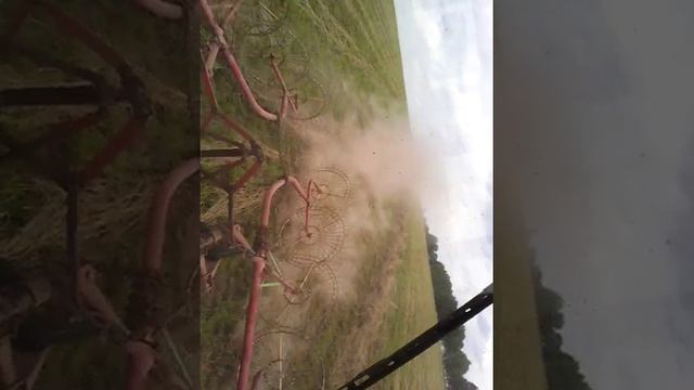 Сенокос смотреть онлайн