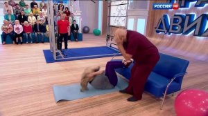 'Правила движения' с Бубновским и Семенович от 26 09 15