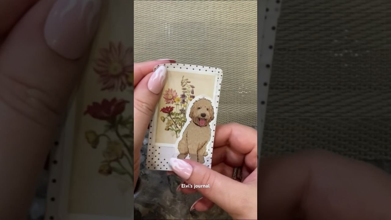 Random color what № next? | ASMR Mini Journal | #asmr #minijournal #trending #scrapbooking смотреть онлайн