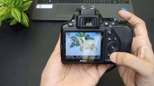 Nikon D3500 Camera Overview and tutorial
