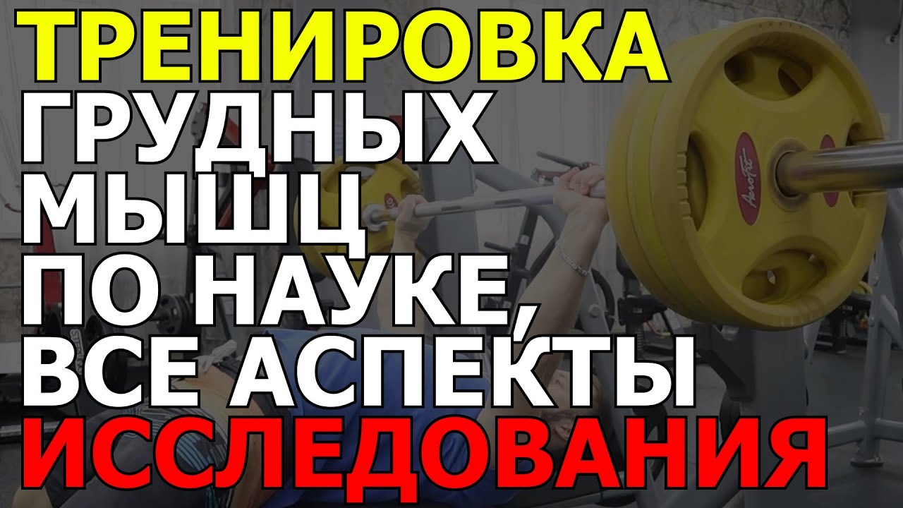 Тренировка груди - как правильно и научно тернировать