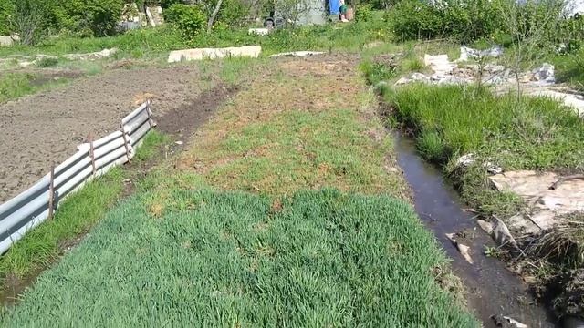 Лучший корм для кроликов. смотреть онлайн