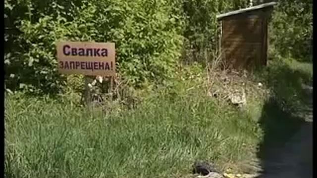 Зяба в опасности