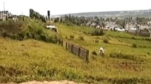 с. Ильинско-Подомское