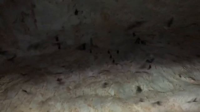 Пещера летучих мышей. Пхукет. смотреть онлайн