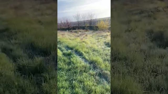 Как начать бегать смотреть онлайн