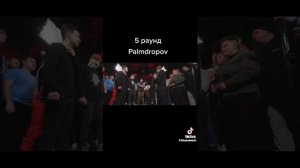 Palmdropov