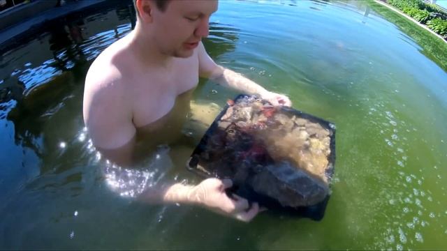 Аквариумпермь.рф - №7 "В гостях у сказки" - Заполняем фильтры, озеленяем смотреть онлайн