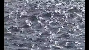 Анатолий Полотно - Ручеек