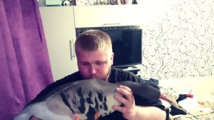 Чучела Soft Plast Хранение чучал в межсезонье