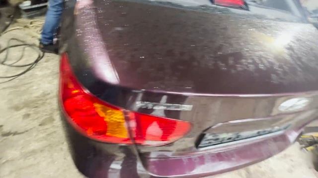 РАЗОБРАЛИ ОТЛИЧНУЮ ЭЛАНТРУ! смотреть онлайн