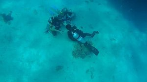 Египет. Хургада. Морская экскурсия на яхте. Оранжевый остров. Египетские мальдивы. Дайвинг. Батиска