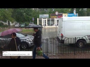 Тропики в Донецке