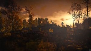 Скорпион в год Собаки - характер