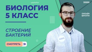 Строение бактерий. Урок 12. Биология 5 класс