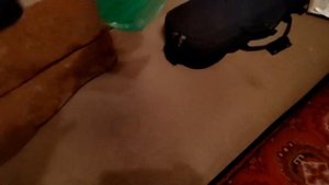 Пьяный пришел домой