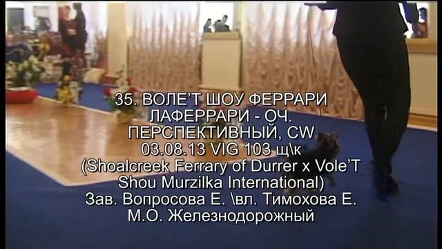 НАЦИОНАЛКА НКП "ЙОРК-ШОУ 2013" СРАВНЕНИЕ БЭБИ смотреть онлайн