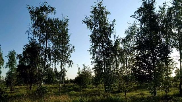 10 июня-ДЕНЬ НИКИТЫ. Что нельзя и что можно делать. смотреть онлайн