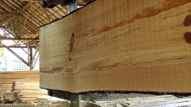 Sawing And Cutting Awesome Pine Wood Monster || #Sawmill смотреть онлайн