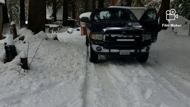 462#Alex-Дальнобой СШA..После рейса..Снега Калифорнии..USA смотреть онлайн