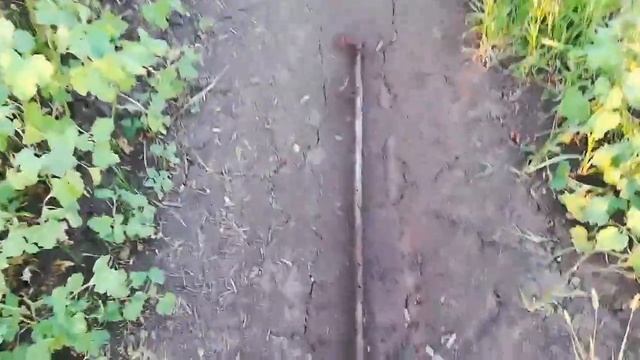 Металлоискатель quest x5, как найти металл. Где найти железо. Коп за 1.5 часа