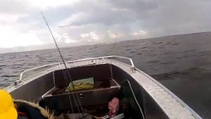 Вятбот 460р вдоль волны 1м