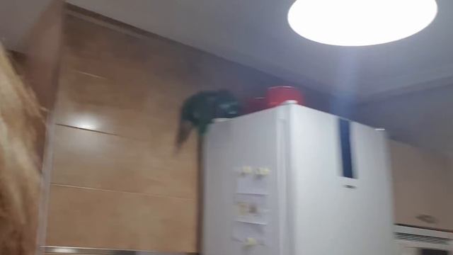 отношения к деньгам . Что важно в моей жизни. Перемотка мыслей. С годами что у Наталия происходит. смотреть онлайн