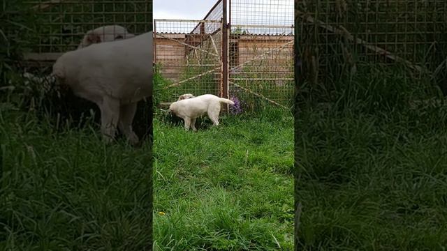 13 июля 2020 г. смотреть онлайн