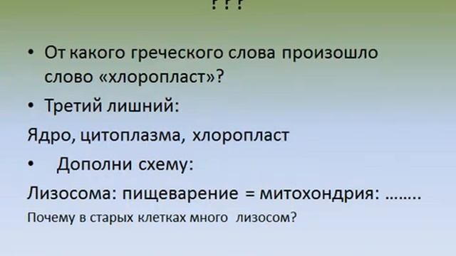 Презентация Большой мир маленьких клеток смотреть онлайн
