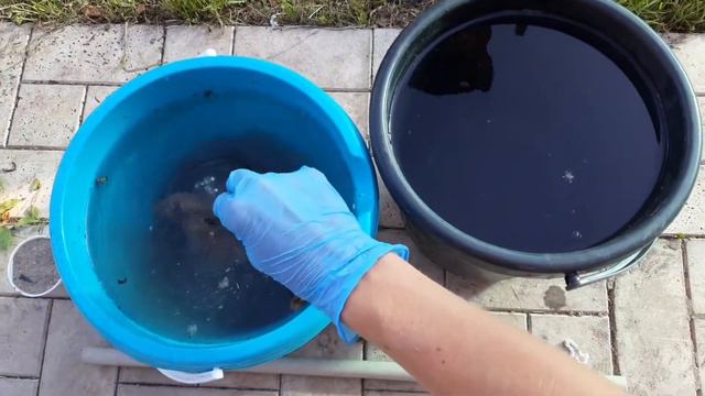 Обязательно подкормите свои растения! Универсальная подкормка для сада и огорода смотреть онлайн