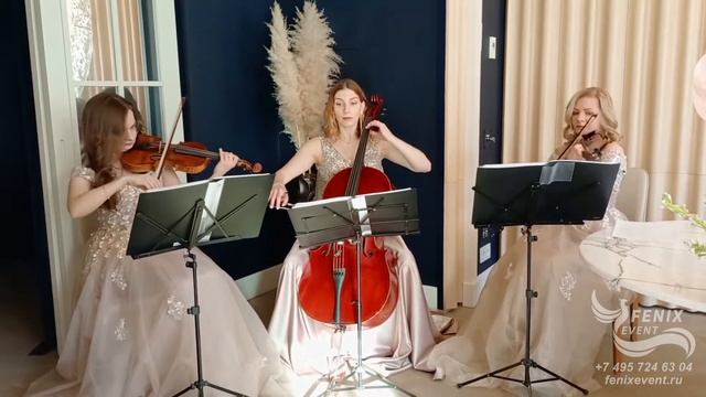 Заказать струнный коллектив на встречу гостей - живая музыка на свадьбу, праздник и юбилей в Москве