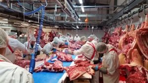 Обвалка свинины на конвейере в Германии