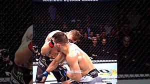 Чендлер - Гейджи