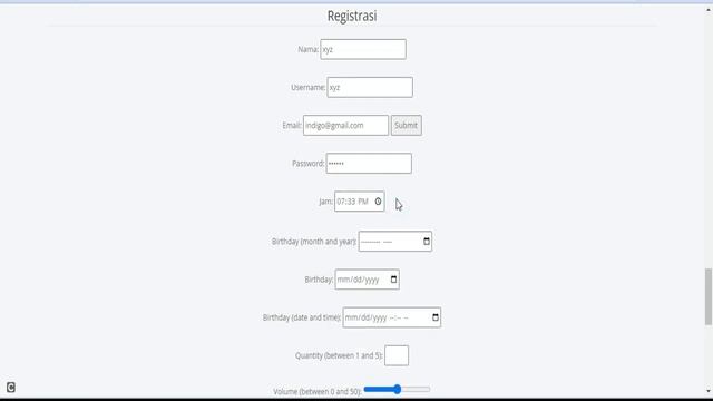 input type HTML
