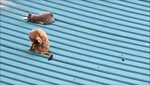 Адлер. Гостиница "Уютная". ул.Гвардейская, 11. Мой номер 307. 3 этаж. 2022 год.