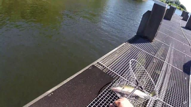 Hellevoetsluis тренировка часть 1 смотреть онлайн