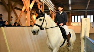 В соревнованиях по конкуру в Ханты-Мансийске примут участие 80 всадников