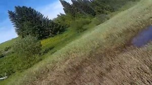 Рыбалка на закидушки  27 06 2018