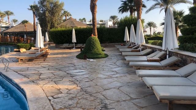 Египет, Шарм Ель Шейх, обзор Гостиницы Hilton Sharm Waterfalls, влог