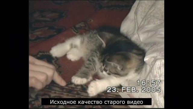 Как можно улучшить старое видео смотреть онлайн